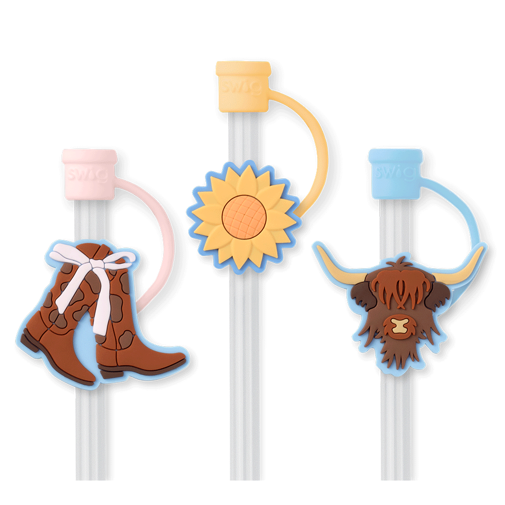 Cowgirl Coquette Straw Topper Set